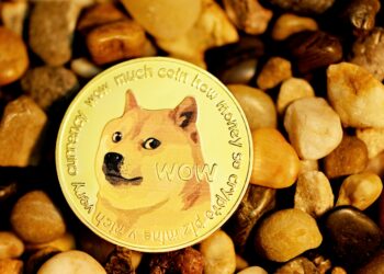 Historical Data Shows How High DOGE Will Go This Bull Cycle