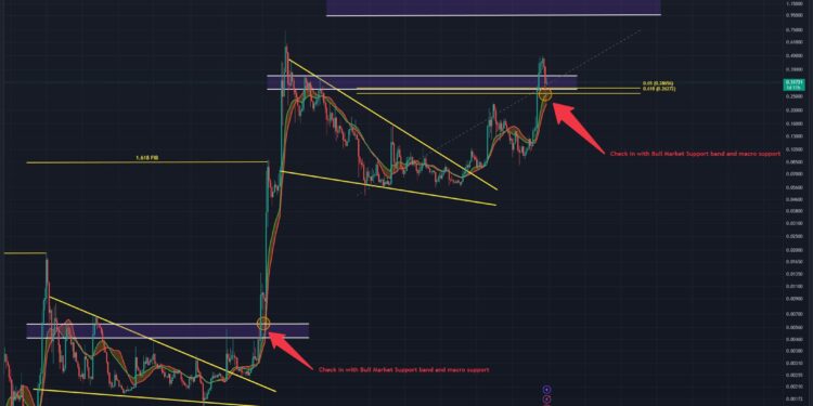 Dogecoin Teeters Between ‘Price Discovery’ And ‘Catastrophe’
