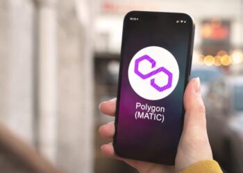 Polygon Price Surges to August Highs in the Wake of Whale Activity
