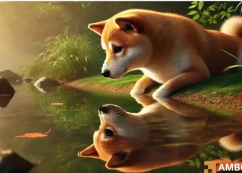 Why DOGE to $0.50 again is not as easy as you may think