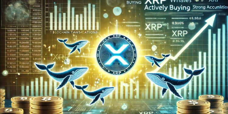 XRP Whales Loading Up – Data Reveals Buying Activity