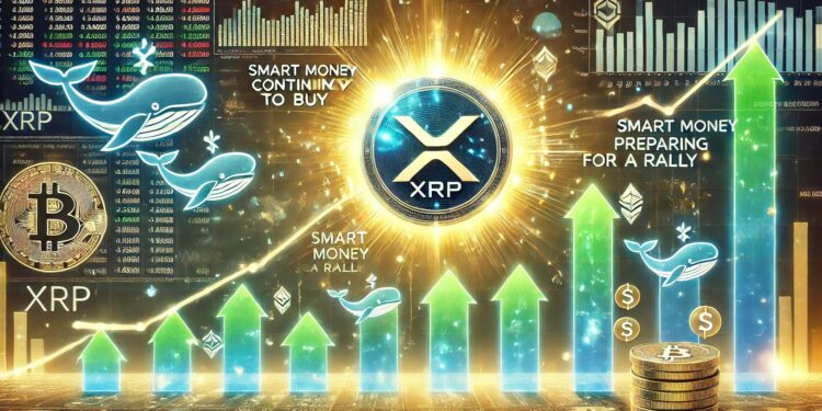 XRP Whales Keep Buying – Data Reveals Smart Money Prepares For A Rally