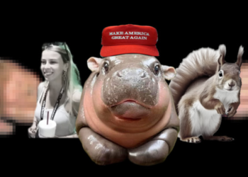 Memecoins will go away once we stop paying attention to them