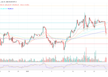 Bitcoin Price Crashes Below $98,000: Here’s Why