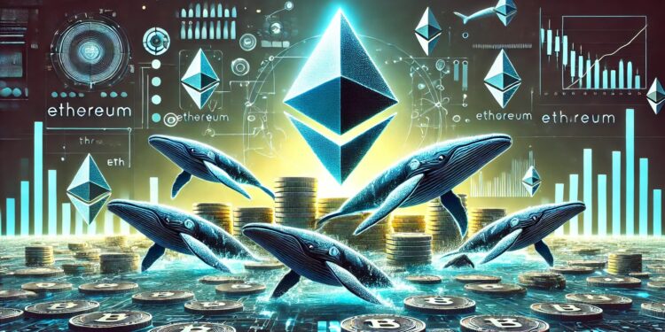 Ethereum Whales Are Loading Their Bags – Data Shows Huge ETH Accumulation