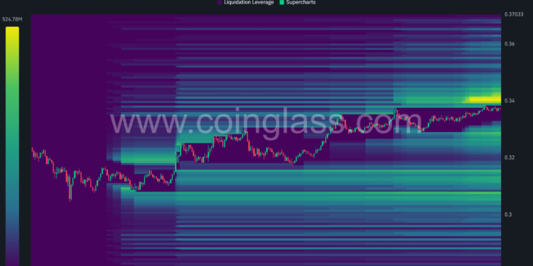 Dogecoin Rally To $0.35 Could Trigger Massive Short Squeeze