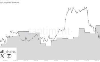 Dogecoin Whales Go on 470 Million DOGE Buying Spree Amid Bullish Recovery In Major Metrics