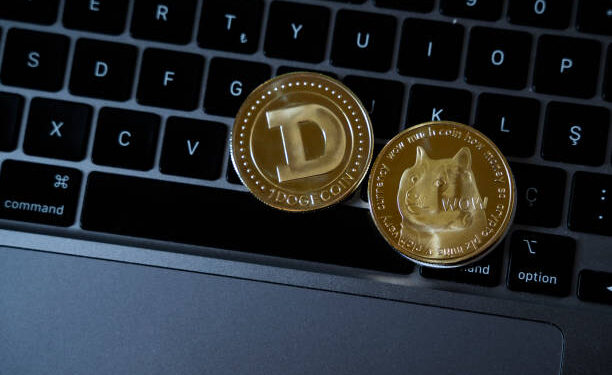 Why The Dogecoin Price Should Be On Your Radar