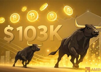Bitcoin – Here’s why liquidity level at $103K is one to watch