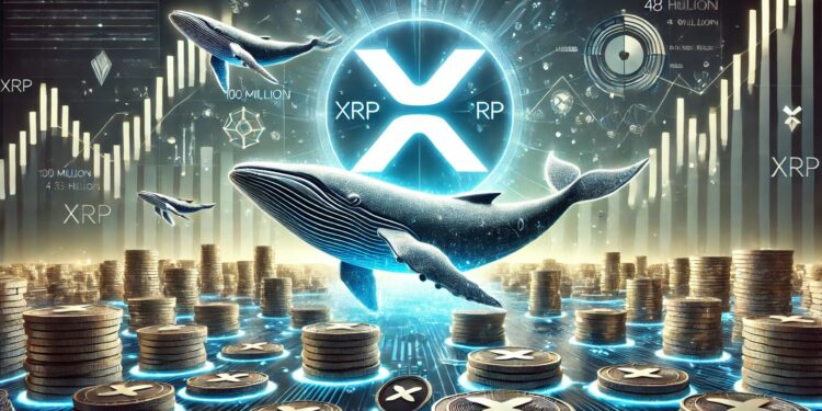 XRP Whales Keep Loading Up Their Bags – 100 Million XRP Accumulation In 48 Hours