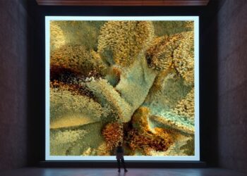 Top auction houses courted the crypto crew — is it enough to save them?