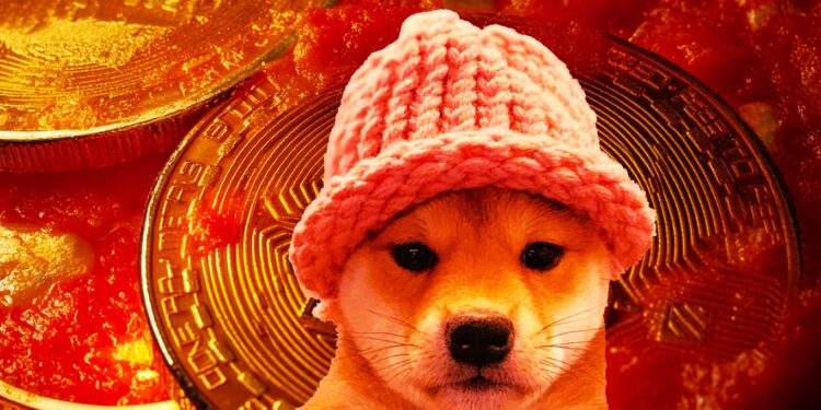 ‘Nice Signs of Life’ Starting To Form on Solana-Based Memecoin dogwifhat, Says Trader – But There’s a Catch