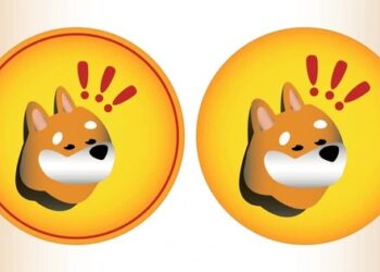 Meme Coin BONK Faces Price Correction: Can Bulls Regain Control?