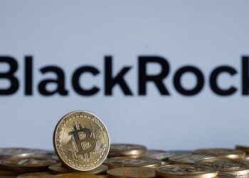 Bitcoin ETF: Abu Dhabi Sovereign Wealth Fund Discloses $437 Million BlackRock Holdings