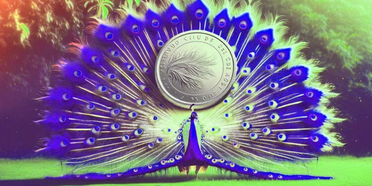 ‘Up Only’ Phase Commencing After Crypto Market Correction Completes, According to Closely Followed Trader