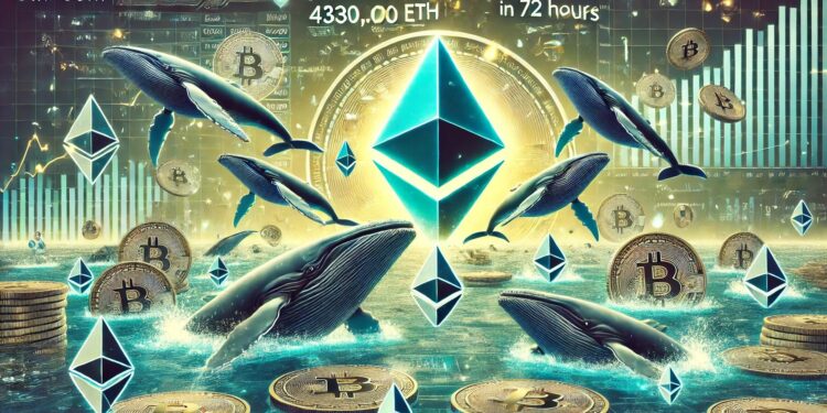 Big Players Keep Buying Ethereum – Whales Accumulate 430,000 ETH In 72 Hours