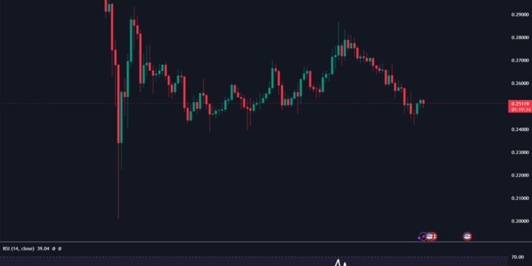 Dogecoin Flashes Oversold Signal—Rebound Ahead?