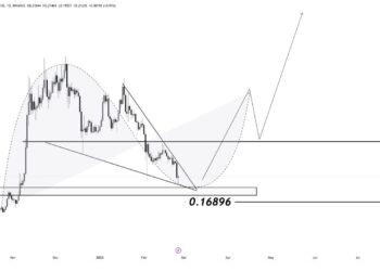 Dogecoin Cup And Handle Taking Shape – Big Move Incoming?