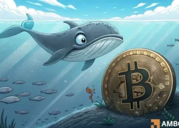 Bitcoin: As whales bet against BTC, what happens now?