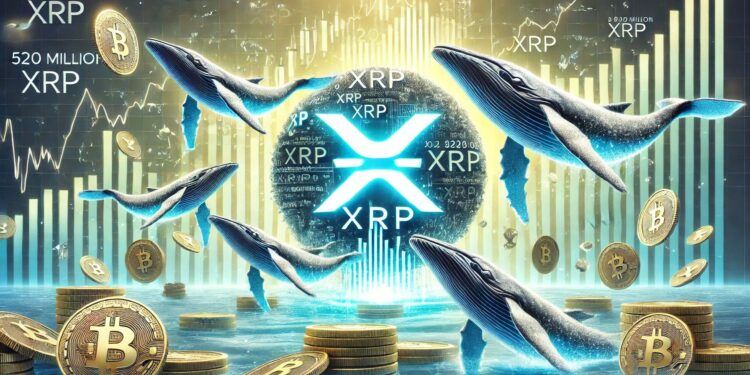 Massive XRP Accumulation – Whales Bought 520 Million XRP During Market Dip