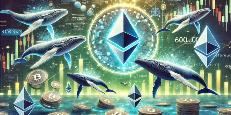 Ethereum Whales Have Bought Over 600,000 ETH In The Past Week – Time For A Price Upswing?