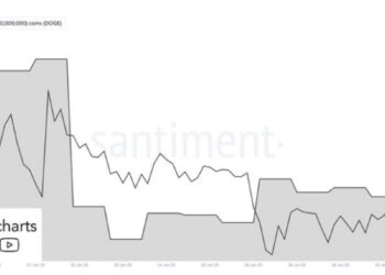Dogecoin Whales Go Ham As They Buy 560M DOGE In One Week