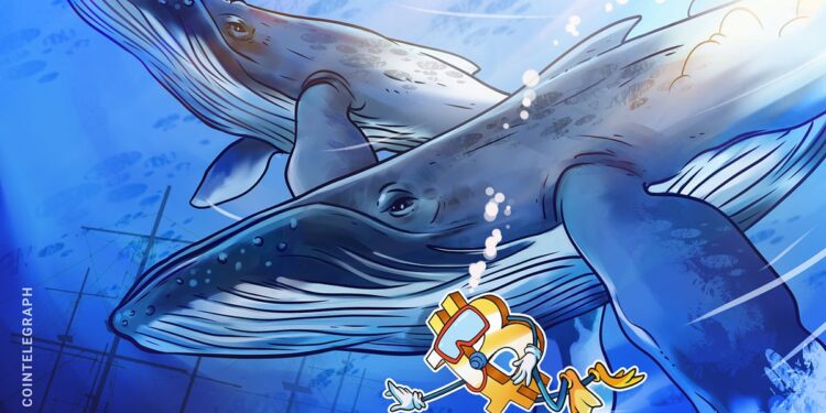 Massive Bitcoin whale buys $200M in BTC, another wakes up after 8 years