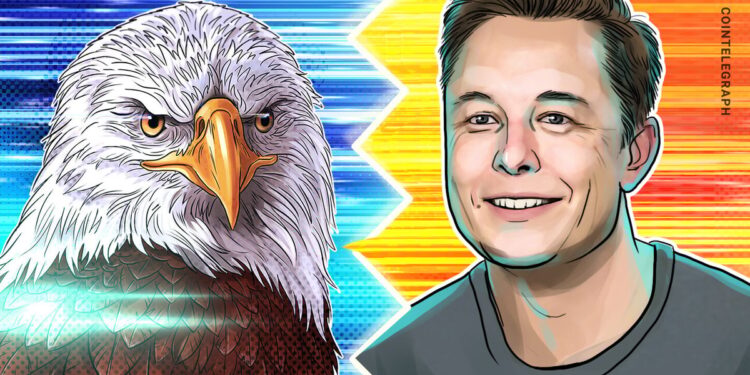 SEC acting chair voted against suing Elon Musk over Twitter stock disclosure