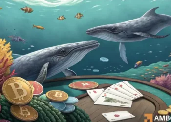 Hyperliquid whales short Bitcoin as institutional investors keep buying – Explained