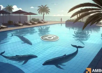 Bitcoin whales resume accumulation – Here’s what it means for you!