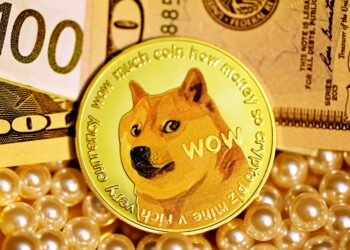 Pundit Gives Dogecoin Price 30-40% Chance Of Crash To $0.165 As RSI Enters Oversold Levels