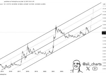 Dogecoin Can Still Go Parabolic If This Support Holds, Analyst Says