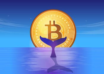 1 Million Bitcoin In New Whale Hands—A Mega BTC Rally On The Horizon?