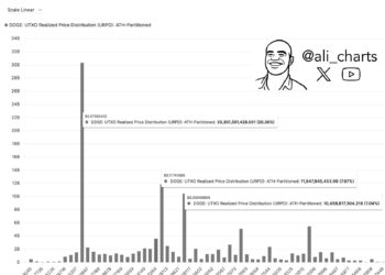 Dogecoin Breaking These Levels Could Be The Catalyst For Next Bull Run, Analyst Says