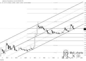 Dogecoin Could Rally To $0.74 ATH If Price Closes Month Above This Level, Analyst Says