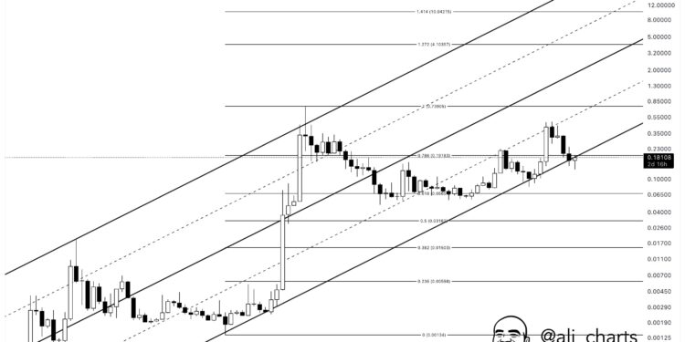 Dogecoin Could Rally To $0.74 ATH If Price Closes Month Above This Level, Analyst Says