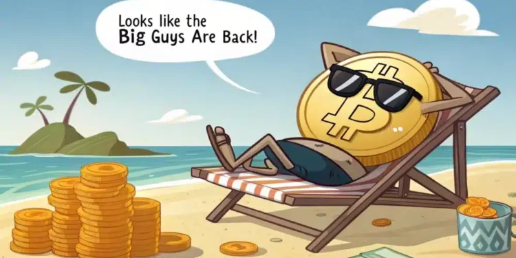 Bitcoin ETFs hit record inflow: 500x surge breaks 2025 trend! – What now?