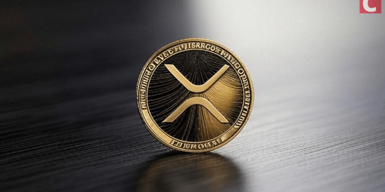 XRP Investment Products Defy Broader Crypto Market Trends