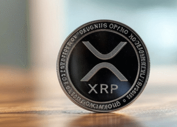 Ripple President Shocks XRP Army with Product Updates