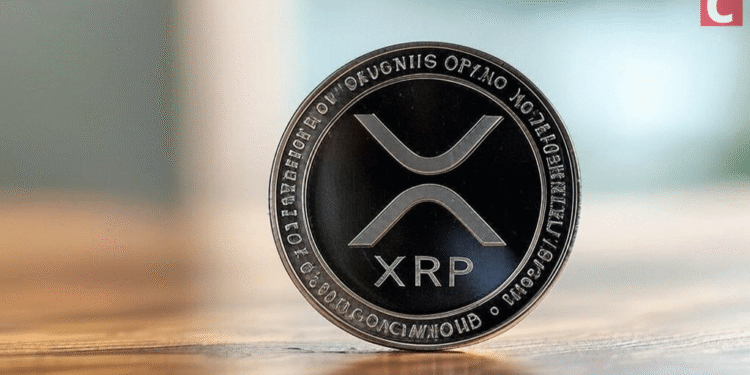 Ripple President Shocks XRP Army with Product Updates