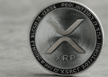 Internet Personality Dave Portnoy Issues Exciting XRP – Bitcoin Forecast