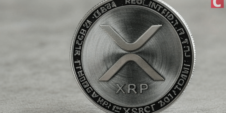 Internet Personality Dave Portnoy Issues Exciting XRP – Bitcoin Forecast