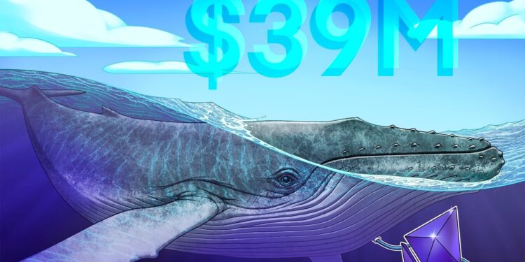 Ethereum Whale Stacks $39M in ETH Despite Ether Falling Harder Than Bitcoin