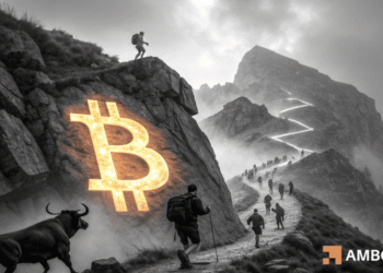 Bitcoin: Despite 10% retail dip, whales could lead BTC to $111K – How?