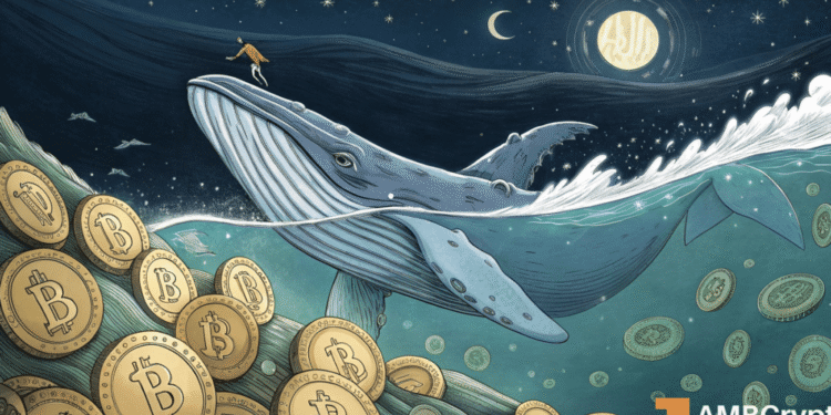 Bitcoin’s tug of war: Whale bets $200M as shorts stack to $1B – What next?