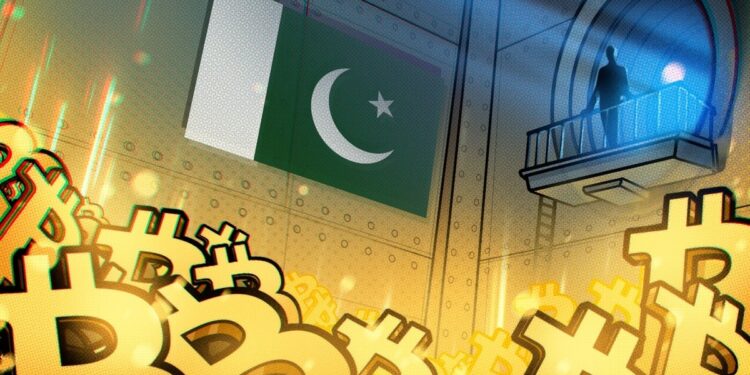 Pakistan’s Youth Leading Charge on Bitcoin Adoption