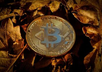 Elon Musk’s SpaceX Moves Bitcoin Holdings For The First Time In 3 Years, Here’s Where It Went