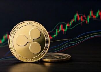 Market Expert Reveals Why XRP Price At $1,000 Is Not A Possibility