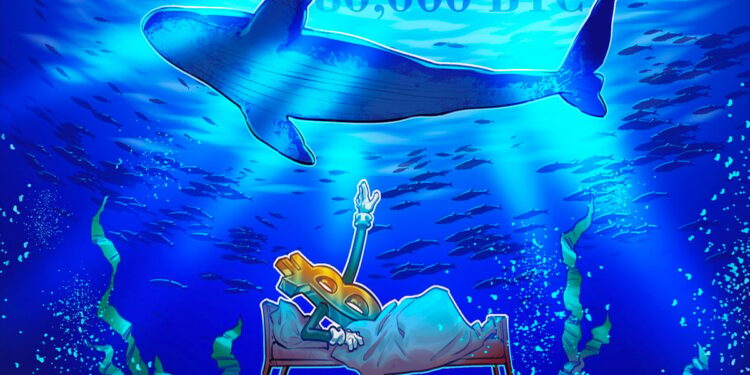 Quantum threat to Bitcoin? 80,000 BTC just moved after 14 years