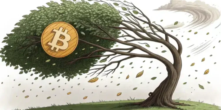 Volatility is back! Bitcoin stalls, Ethereum quietly gains – What next?